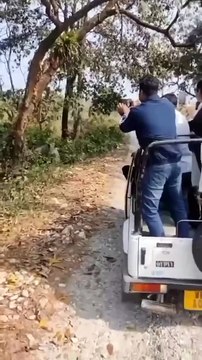 Sometime things go horribly wrong. Be prepared be aware about it. #wildanimals #wildlife