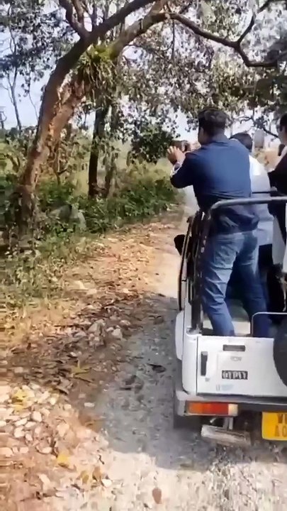 Sometime things go horribly wrong. Be prepared be aware about it. #wildanimals #wildlife