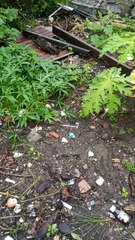 Suasana pagi hari seusai hujan