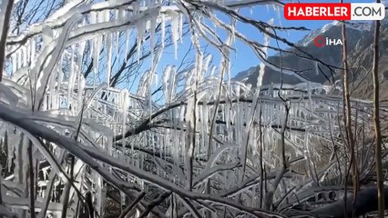 Şırnak'ta Buz Sarkıtları Ağaçları Dondurdu