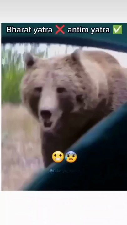 What happened during camping⛺