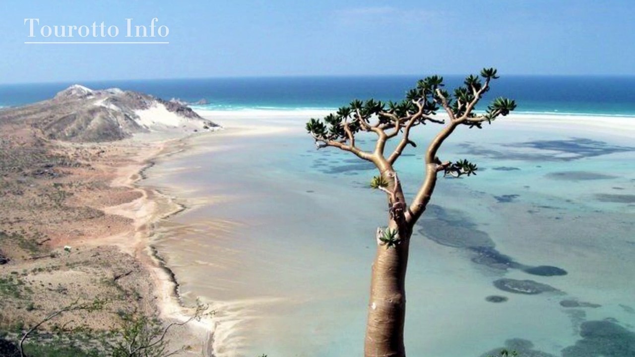 Budget Travel to Socotra Island: Discover Earth's Hidden Treasure