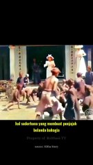 Belanda Bahagia Pribumi Yang Sengsara