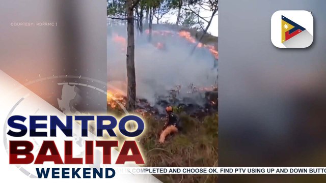 OCD: 287 hectares ng lupain, apektado sa grass fire sa Carasi, Ilocos Norte