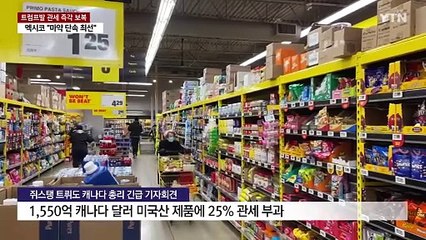 캐나다·멕시코 즉각 보복 선언...'복수의 악순환' 시작 / YTN