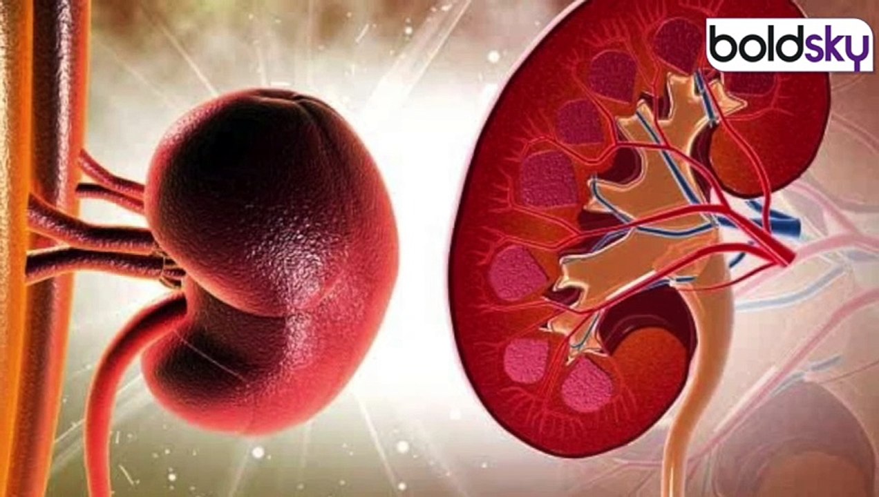 High And Low Blood Pressure Side Effect On Kidney | Kidney Disease Symptoms and Reason