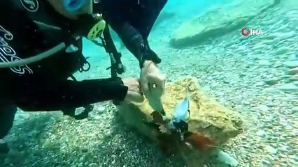Antalya'da dalış yapan profesörler 2 balığın hayatını kurtardı
