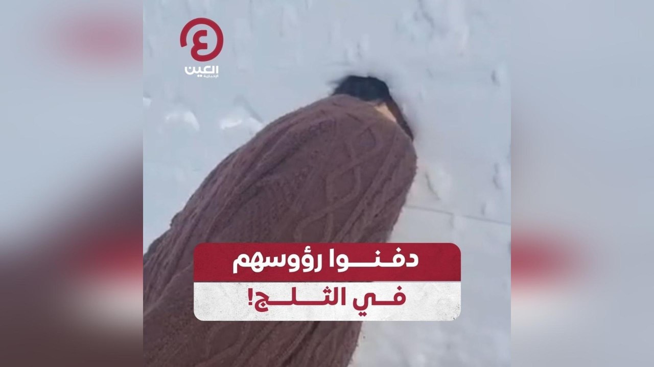 دفنوا رؤوسهم في الثلج