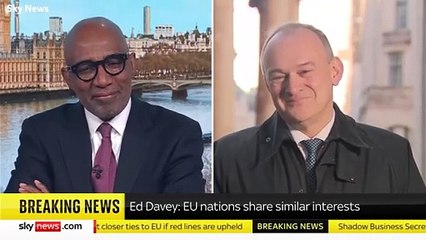 Ed Davey responds to Elon Musk calling him a 'snivelling cretin‘