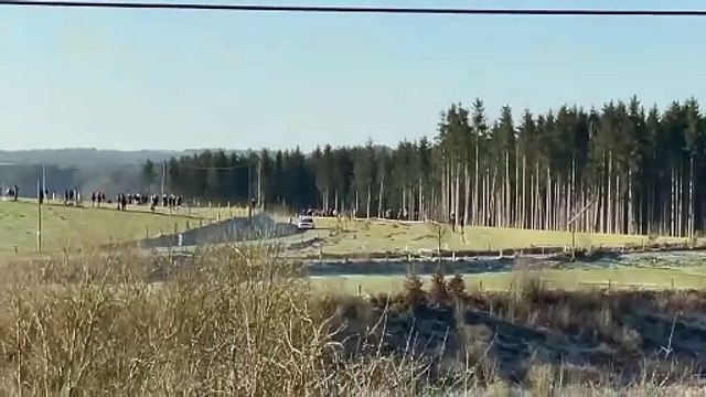 Thierry Neuville fait le show