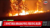 Incendios en El Bolsón: Primer fallecimiento confirmado mientras brigadistas luchan contra el fuego