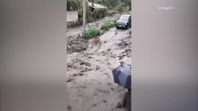Straripa il torrente Zafferia a Messina: strade come fiumi e auto trascinate via