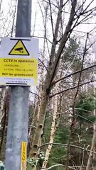 Cullwoods vandalism