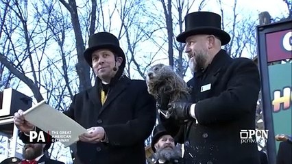 Watch: Punxsutawney Phil makes his Groundhog Day 2025 prediction