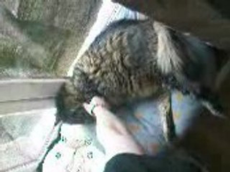 minnie serre la patte