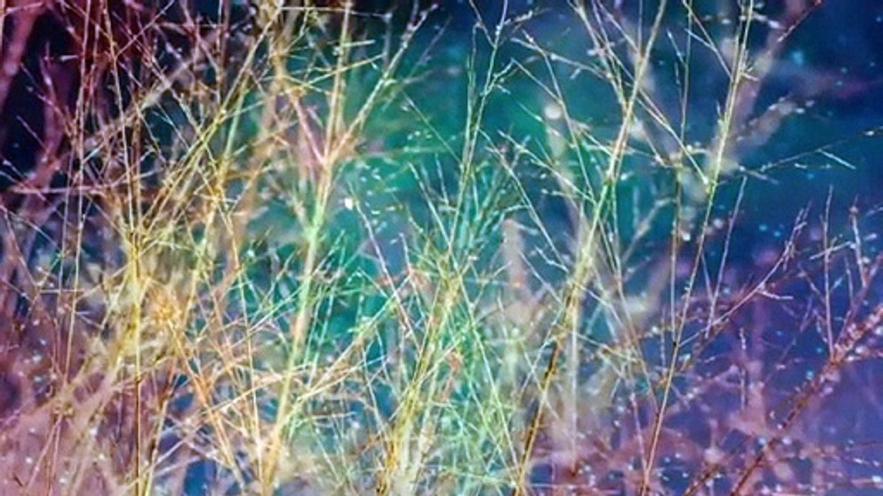 Musique 432 Hz pour Sommeil Profond ~ Fréquence Guérison ~ Méditation Ton Miracle ~ Musique Relaxe