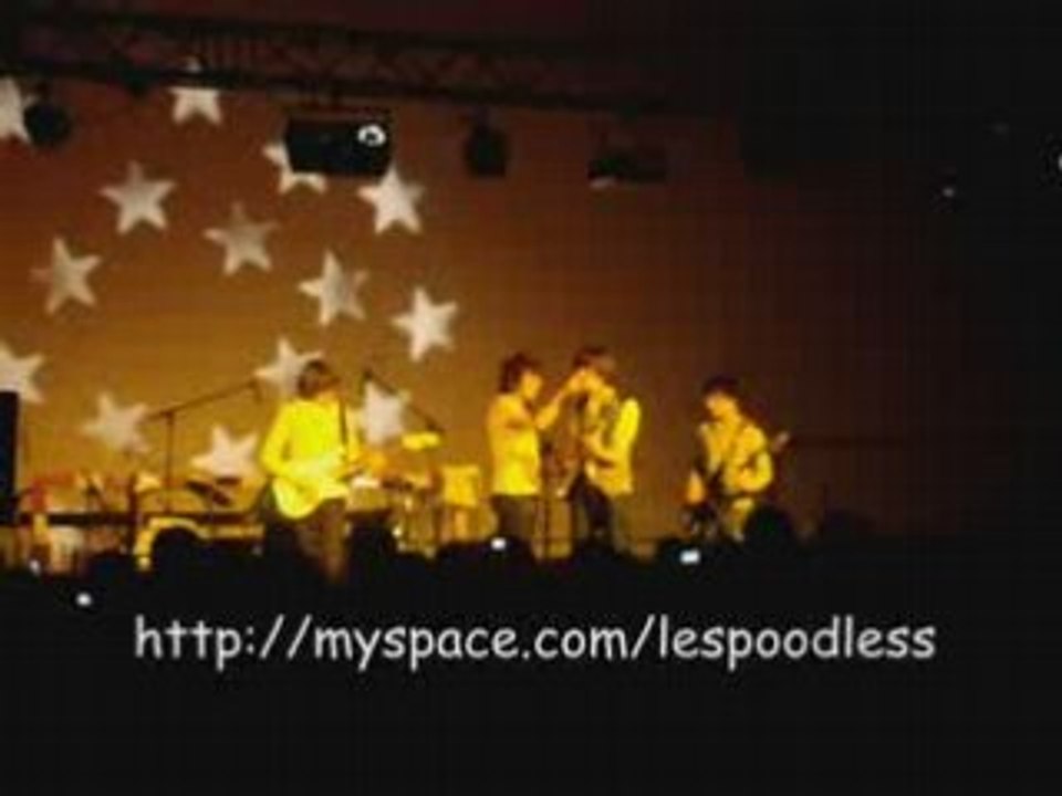 Ginger - Les Poodles