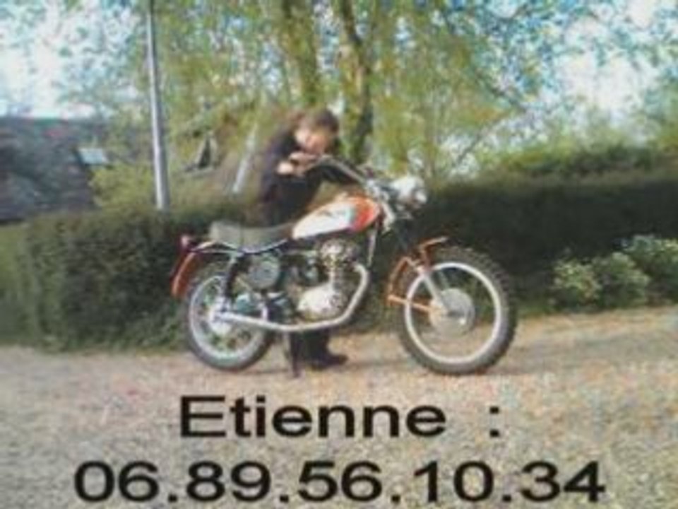 Ducati Scrambler 250 : Motorepair76