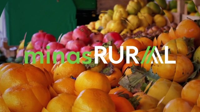 Confira a íntegra do programa Minas Rural deste domingo (02)!