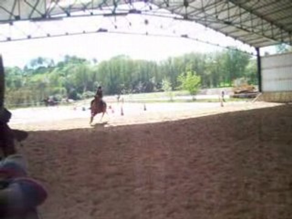 Photo 141