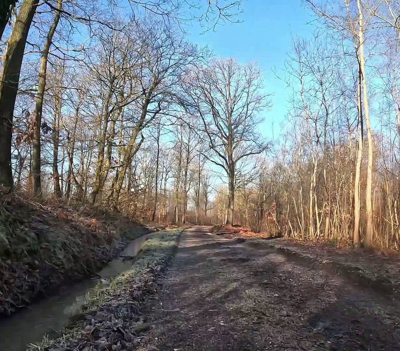 7 givrés au départ par -3