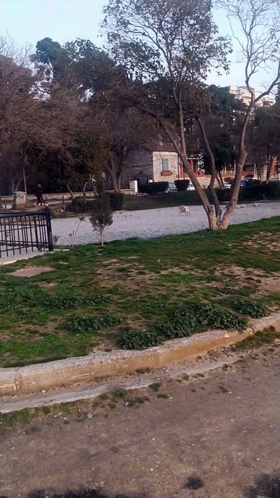 Ρέμβη Καλαμαριάς