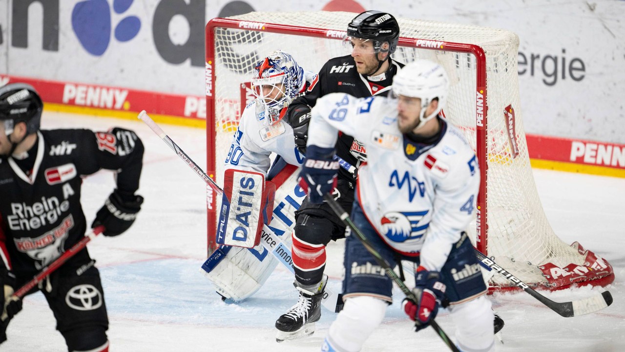 Elf Tore in Köln: Mannheim gewinnt spektakulär bei den Haien