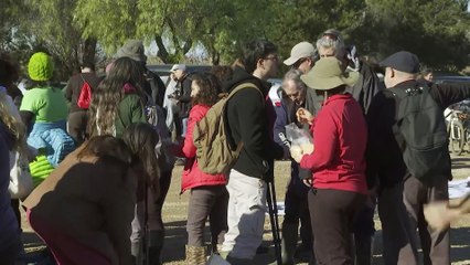 Ecologistas reclaman la "recuperación" de l'Albufera en el Día Mundial de los Humedales