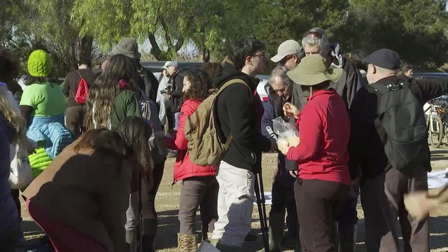 Ecologistas reclaman la recuperación de l'Albufera en el Día Mundial de los Humedales
