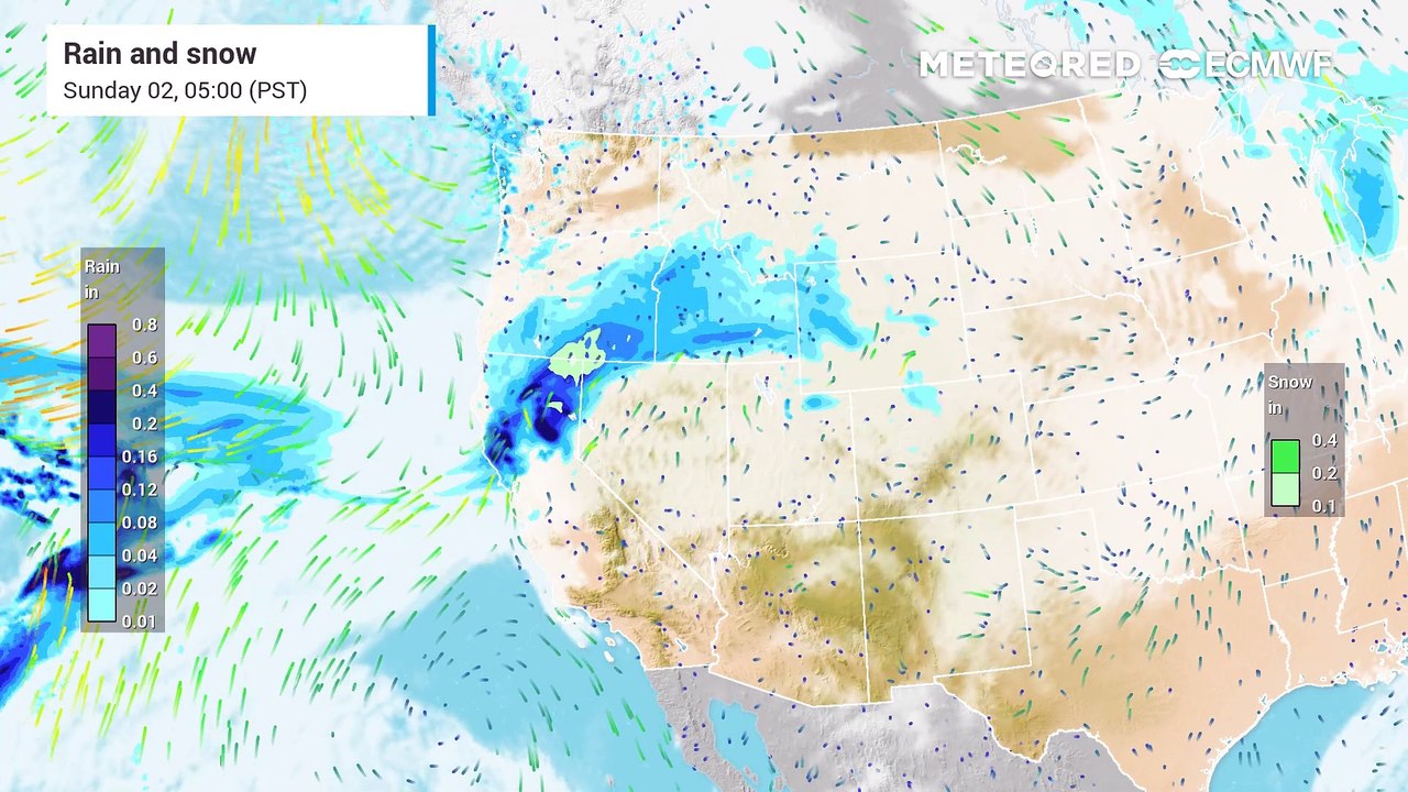 Winter Storms and Atmospheric River Set to Bring Heavy Snow, Rain, and Strong Winds to the Northwest