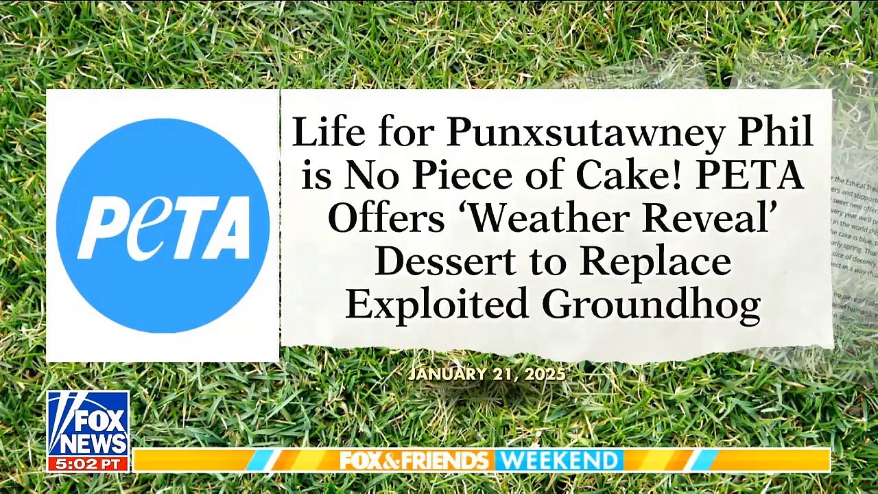 FOX and Friends Weekend 2_2_25 [8AM] FULL END SHOW _ FOX BREAKING NEWS TRUMP February 2, 2025