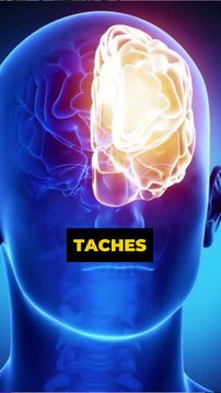 🤯 Pourquoi cocher des cases dans ta to-do list est si satisfaisant pour ton cerveau ? (neuroscience et biais cognitif) 🧠💥 #productivité #neuroscience