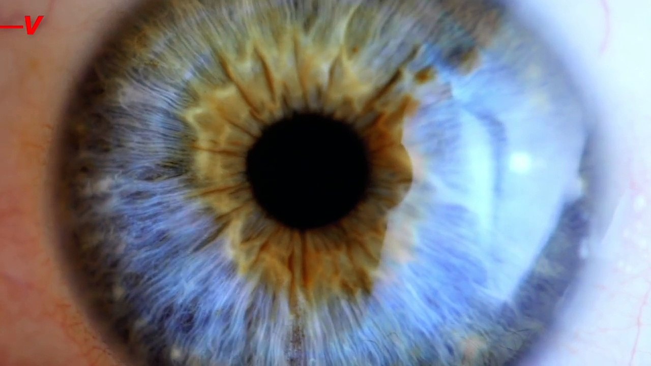 More Pilots Than You Think Are Actually Taking ‘Uncontrolled’ Microsleeps During Flights