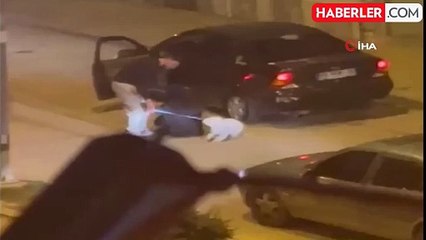 Ankara'da Kadına ve Köpeğine Saldırı: Dehşet Anları Kamerada