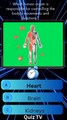 Which human organ is responsible for controlling the body's movements and functions?