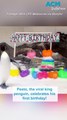 Pesto the viral penguin celebrates first birthday