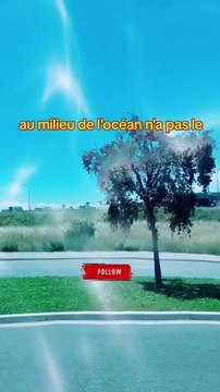 Pas de victoire sans lutte #sagesse #proverbe #conseil #motivationalvideo #inspiration