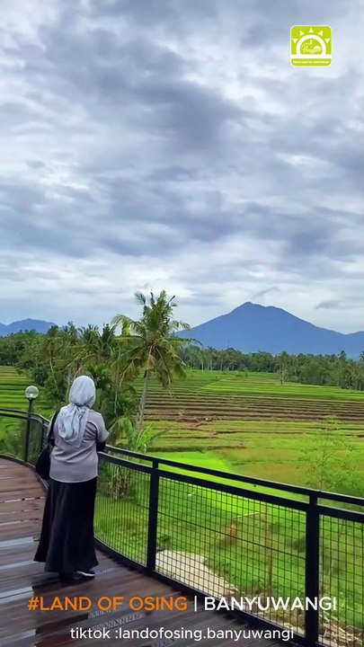 Land Of Osing Tempat Baru Untuk Nongkrong dan Kulineran