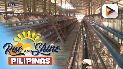 D.A., nagbabala na posibleng kapusin ang supply ng itlog sa Abril