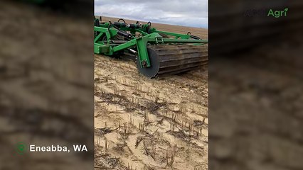 Hayden Rayner is getting grain yield results 20 years after deep ripping