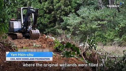 Taiwan Government Teams Up With Volunteers To Protect Rare Dragonfly Species