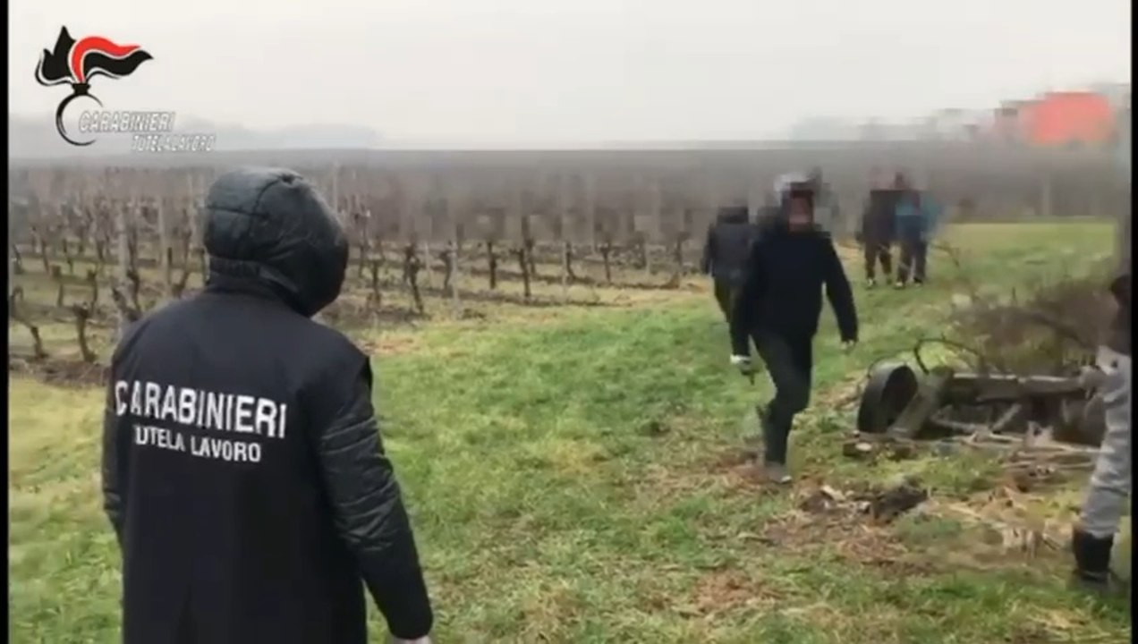 Immigrazione clandestina, 36 arresti tra Salerno, Napoli e Caserta (03.02.25)