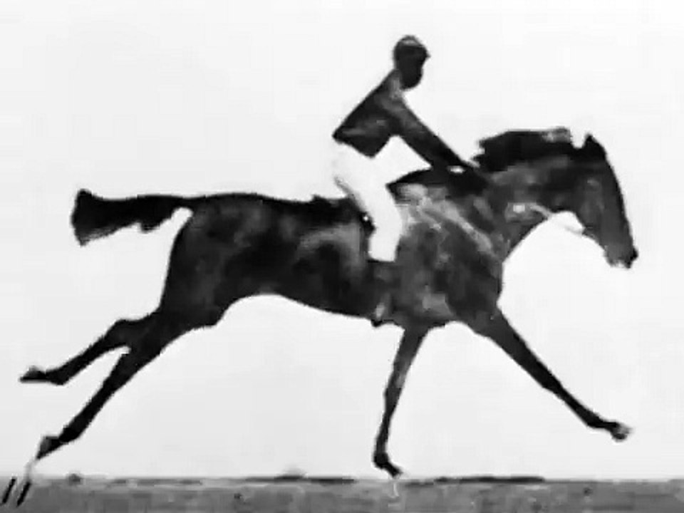 Sallie Gardner at a Gallop / Race Horse (1878) - Eadweard Muybridge - Public Domain Film