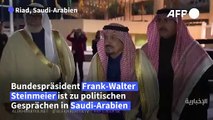 Steinmeier führt politische Gespräche in Saudi-Arabien
