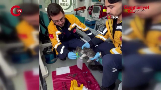 Alevlerin arasında kalan yavru kediyi itfaiye kurtardı, oksijenle hayata döndü