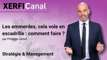 Les emmerdes, cela vole en escadrille : comment faire ? [Philippe Gattet]