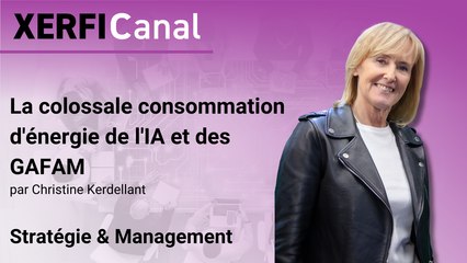 La colossale consommation d'énergie de l'IA et des GAFAM [Christine Kerdellant]