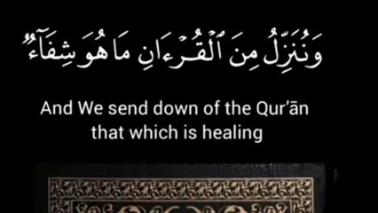 الشيخ الزين محمد