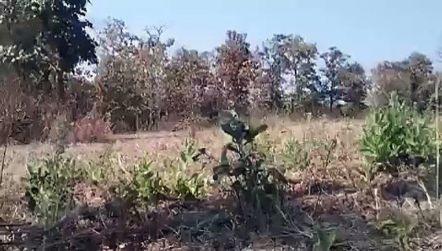 बीजापुर में नक्सलियों द्वारा लगाए गए 25 किलो के IED को बीडीएस टीम ने किया नष्ट, देखें Video..