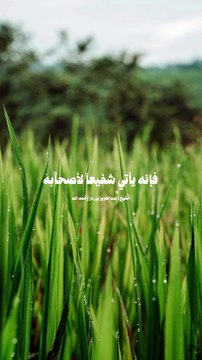 الشيخ ابن باز رحمه الله